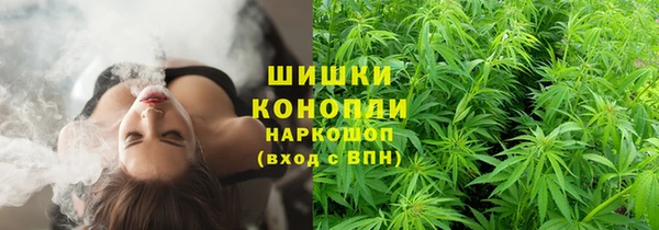 гашик Алзамай
