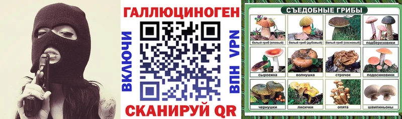 Купить где  Североморск  Галлюциногенные грибы Psilocybine cubensis 